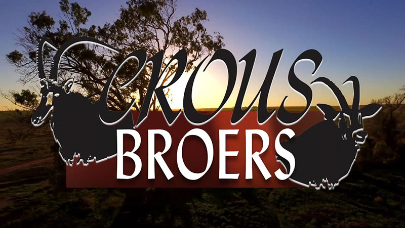 Read more about the article Crous Broers Top Bloodlines